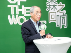 「森之回響」再啟新程！ 美國闊葉木2025當代設計作品巡展杭州站即將揭幕
